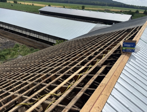 Toit sur structure agricole